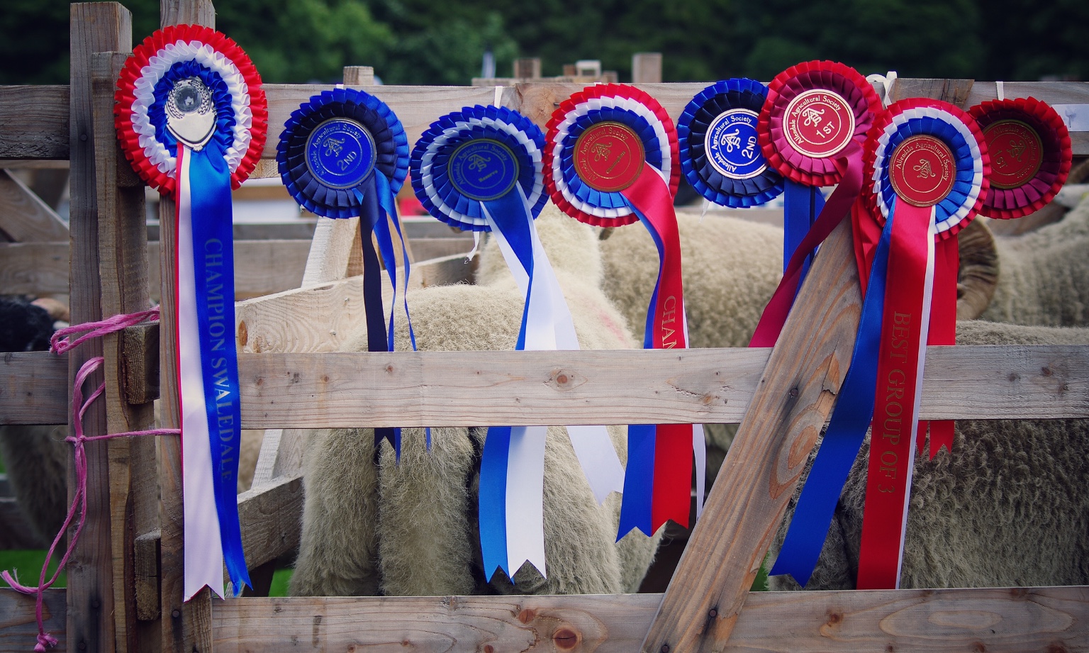 The Allendale Agricultural Show