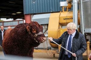 A bull and Boris Johnson 