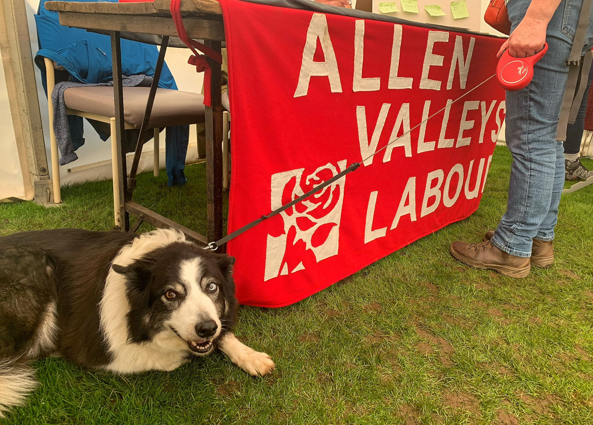 Labour at the Allendale Agricultural Show